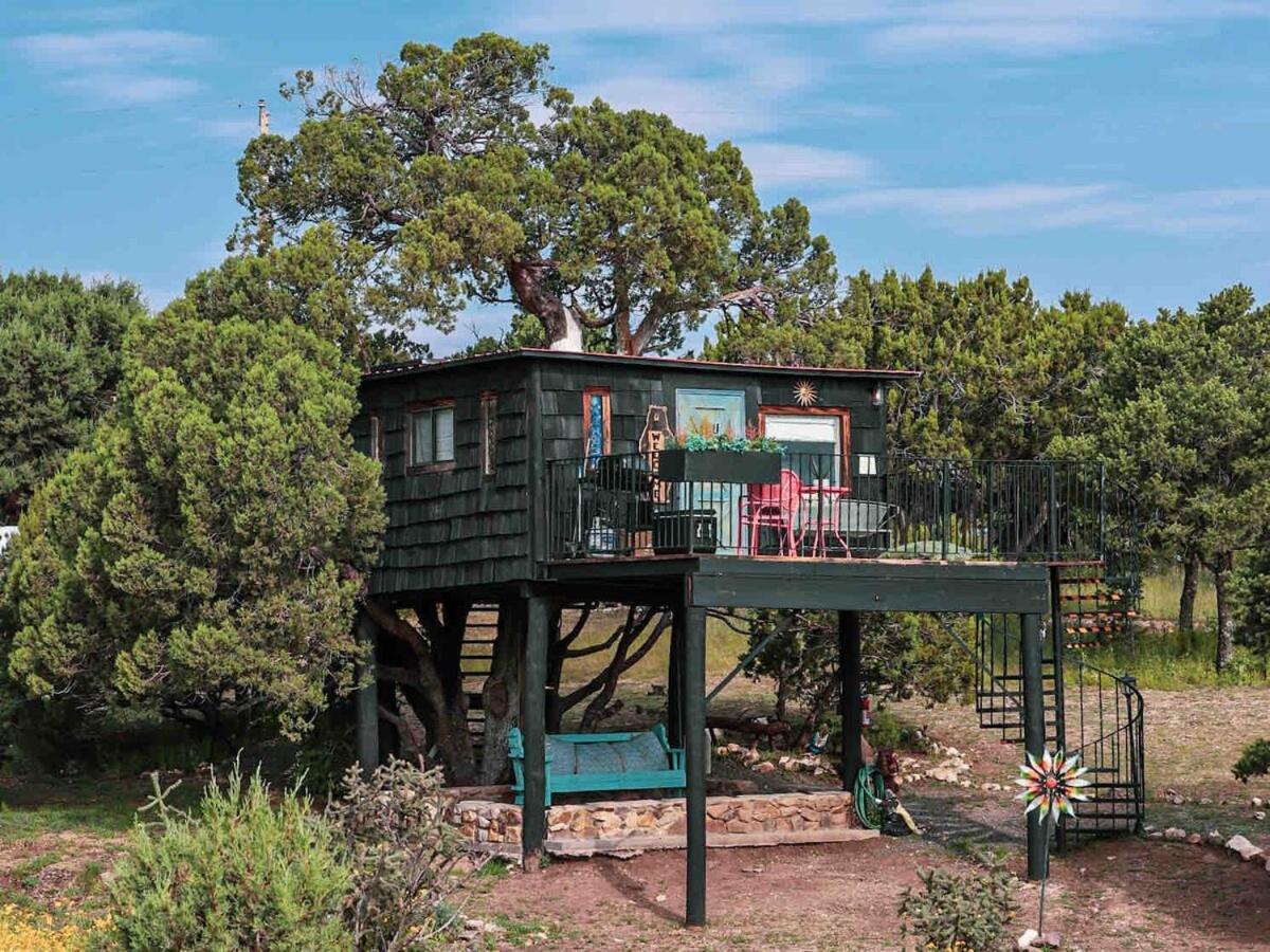 Ashley'S Treehouse At El Mistico Ranch Villa Nogal Exteriör bild